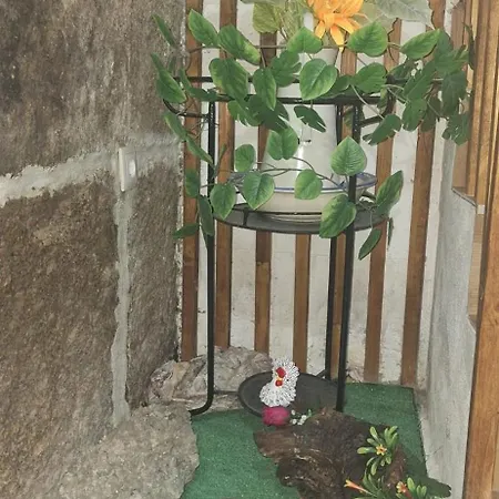 別荘 Superb Bruzende Village