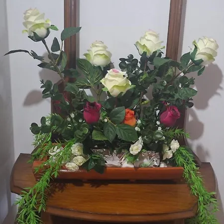 別荘 Superb Bruzende Village