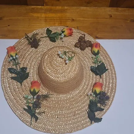 Superb Bruzende Village Prázdninový dům Baião