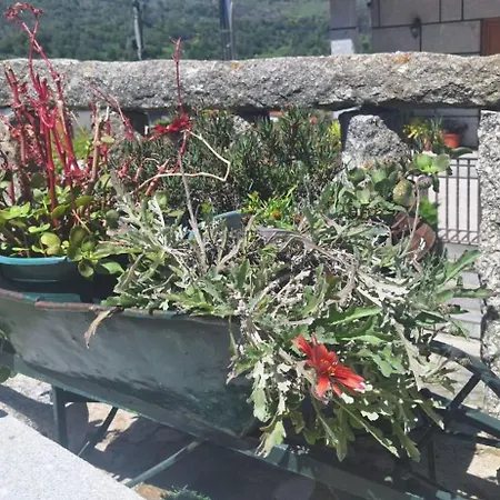 Superb Bruzende Village 펜션