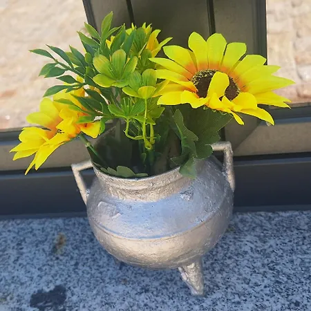 Superb Bruzende Village * 바이아오