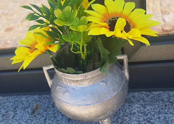 Superb Bruzende Village * Baião